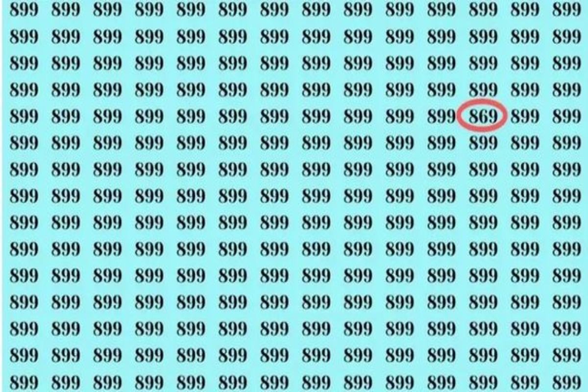 Eine Zahl ist anders als die anderen