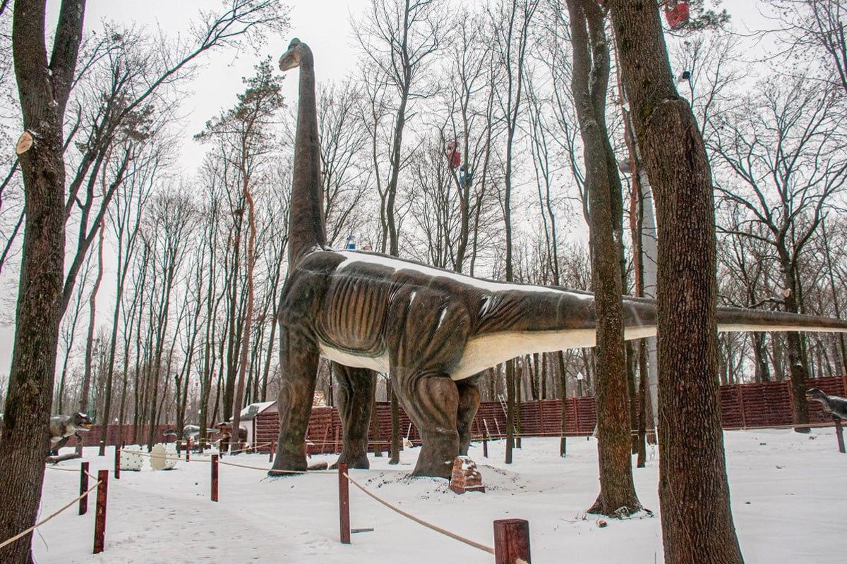 Finde einen Hund im Schnee in 10 Sekunden / Moje collage