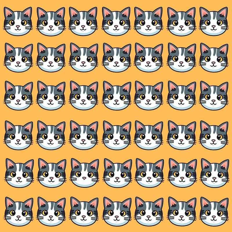 Diese optische Täuschung ist nur für Menschen mit einem grandiosen IQ möglich / Moje image