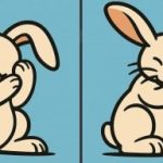 Super-IQ-Test: Finde 3 Unterschiede in einem Bild von einem Kaninchen