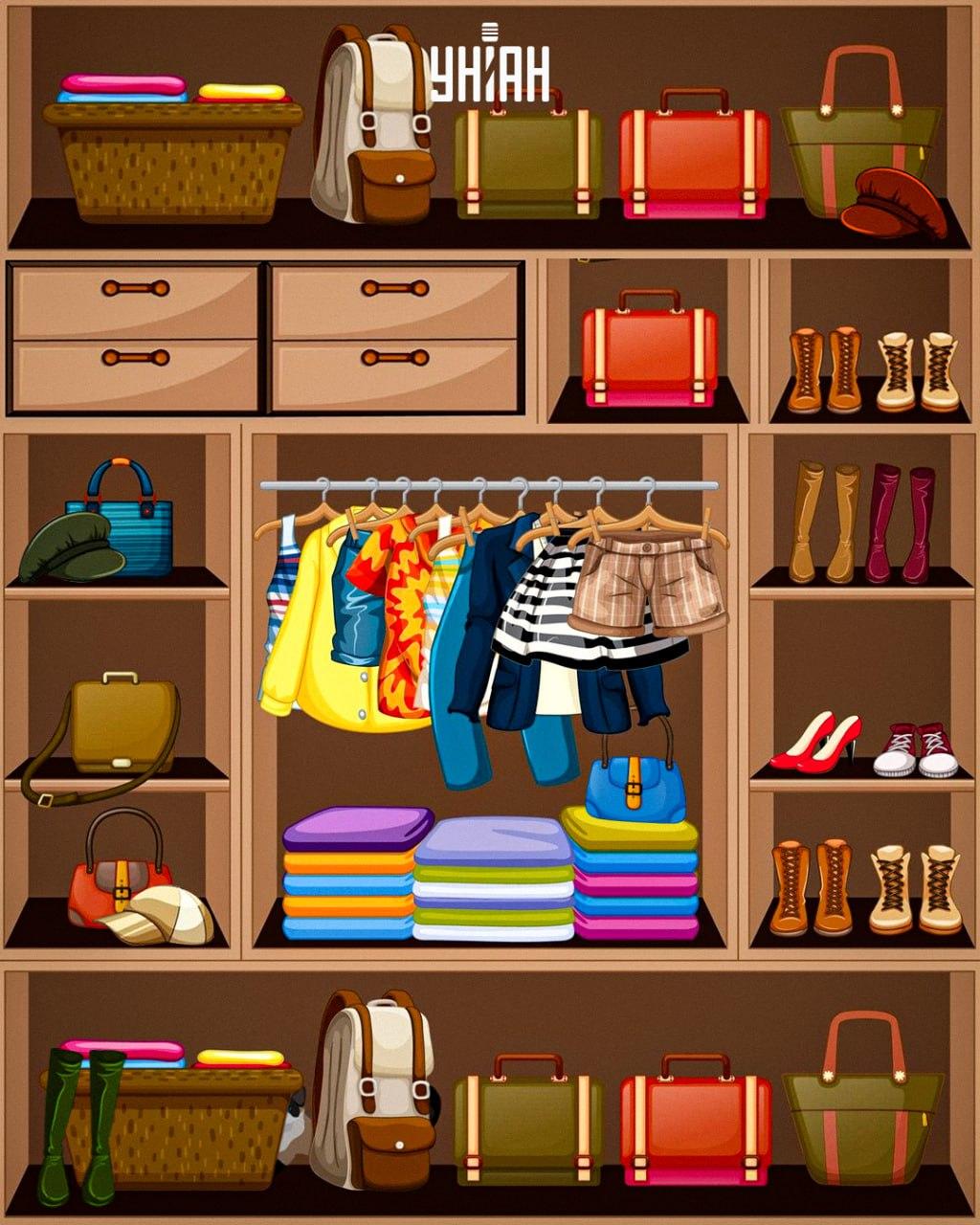 Suche nach einer gerissenen Katze / Collage Moje