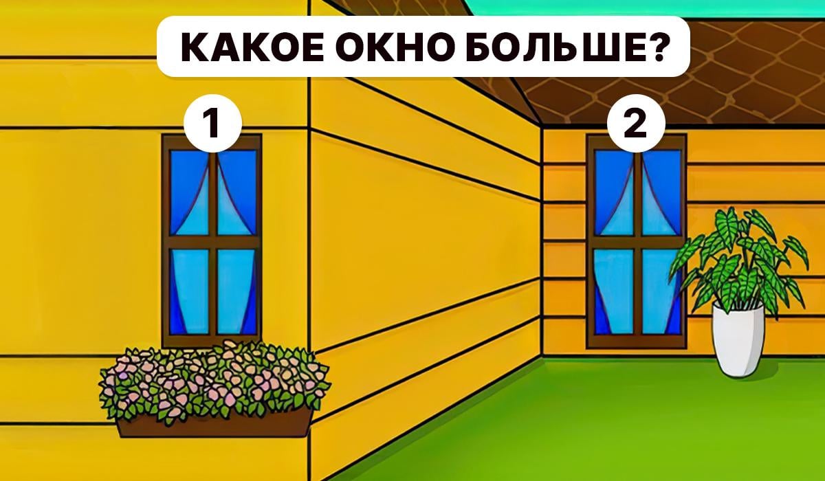 Es ist notwendig zu verstehen, welches Fenster größer ist / Moje collage