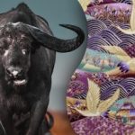 Finde den Stier auf dem Bild in 15 Sekunden: ein