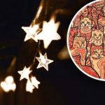 Optische Täuschung für Menschen mit Adleraugen: Sie müssen einen Stern